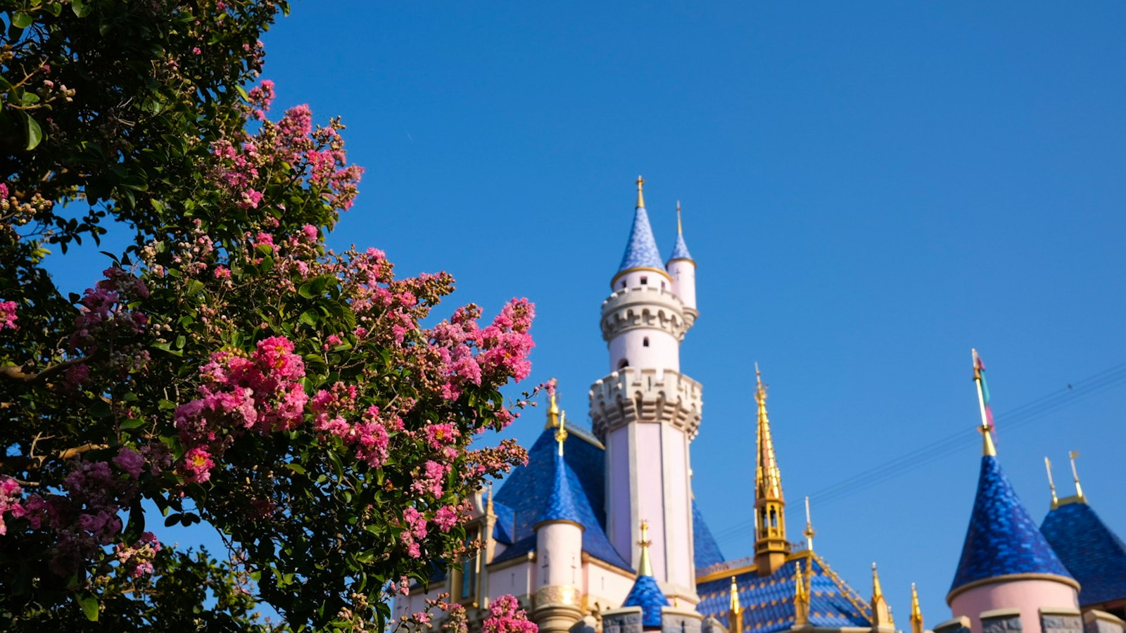 Sleeping Beauty Castle at Disneyland with flowers in front